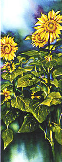 sunflowers[1].jpg